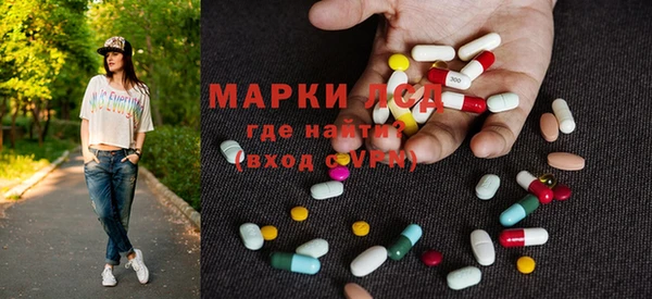 прущий лед Алзамай