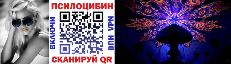 Псилоцибиновые грибы мухоморы  наркота  Карабаново 